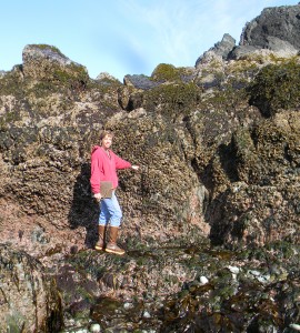 Scientist Brenda Konar points out changes in mussel abundance at the Outside Beach site in Kachemak Bay, Alaska.